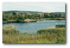 Stillgewässer